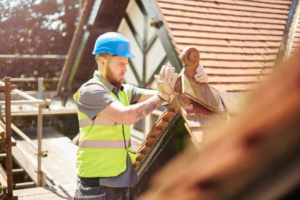 Best Roof Gutter Cleaning  in Largo, MD